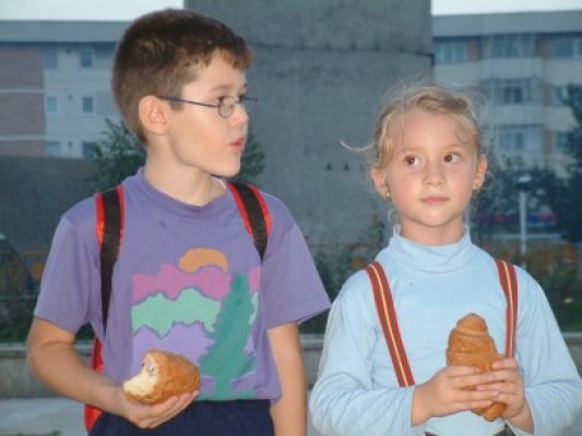 Probleme la depozitarea cornului şi laptelui în şcoli